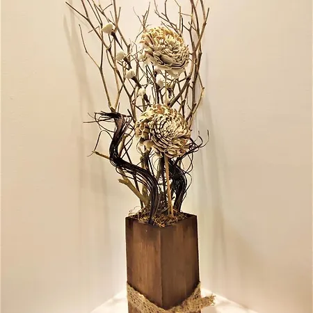 Pavlina アパート