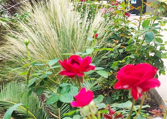 Pavlina Ixia (Rhodes)